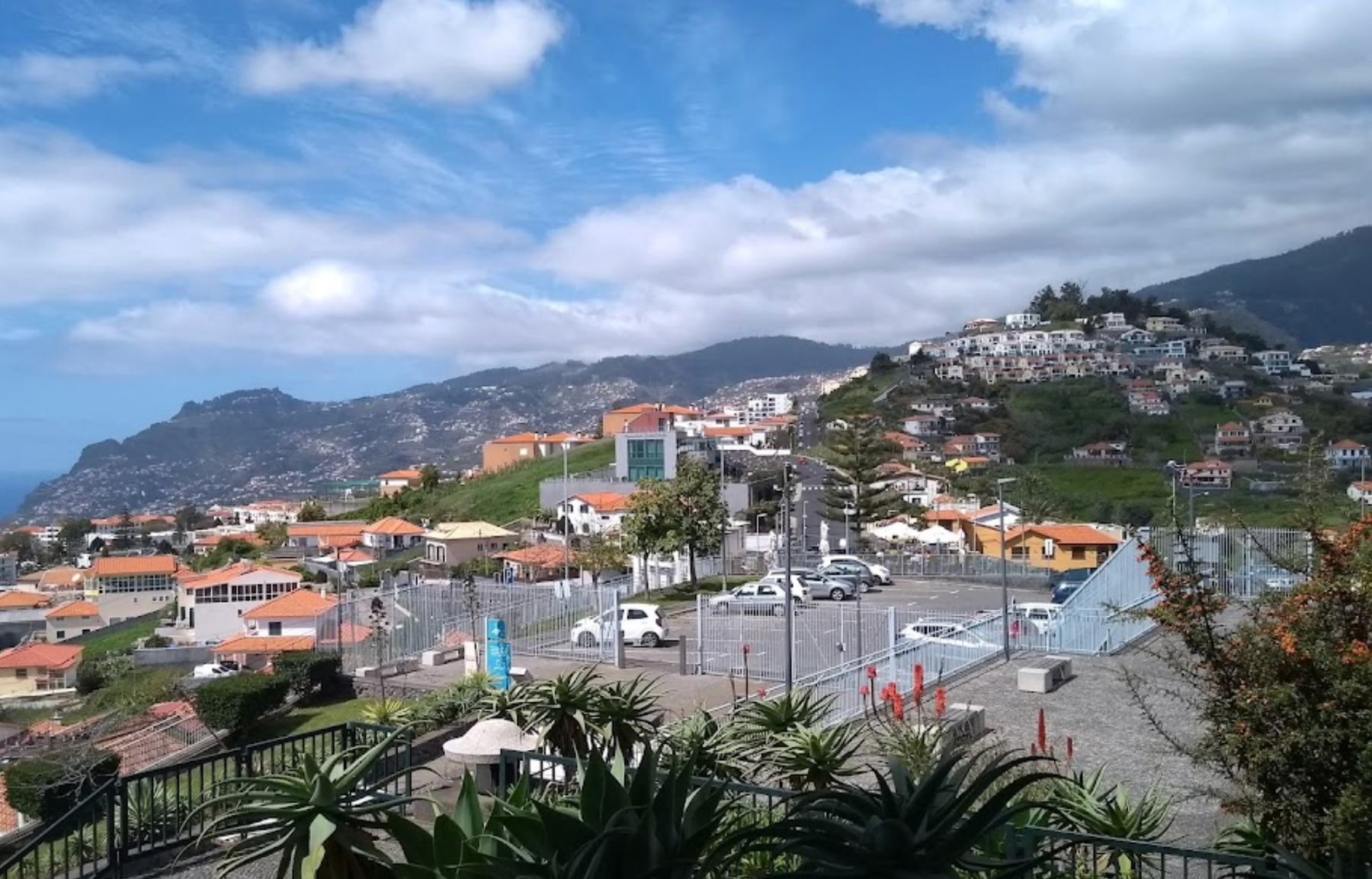 Pico dos Barcelos Viewpoint